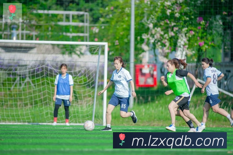 leyu乐鱼官方网站平台生态图