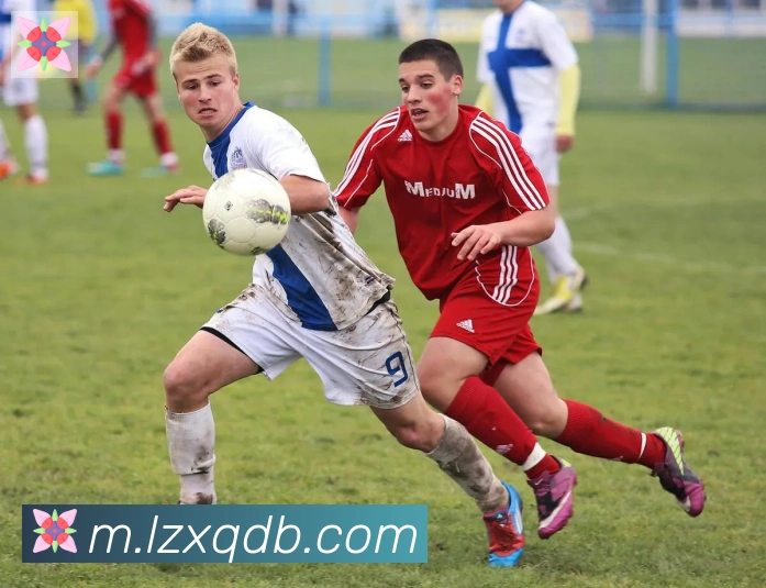 leyu乐鱼官方网站荣誉